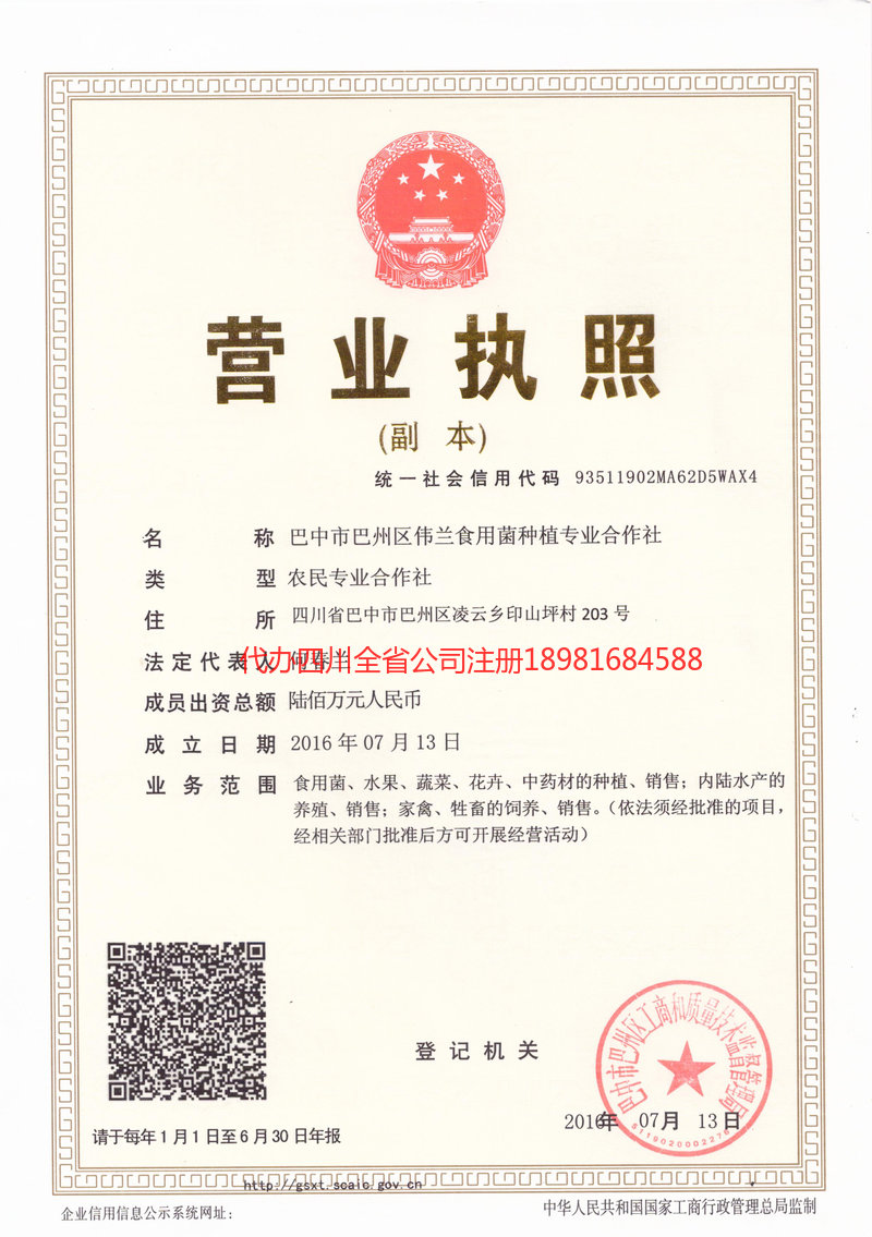 合作合作伟兰食用菌种植专业合作社